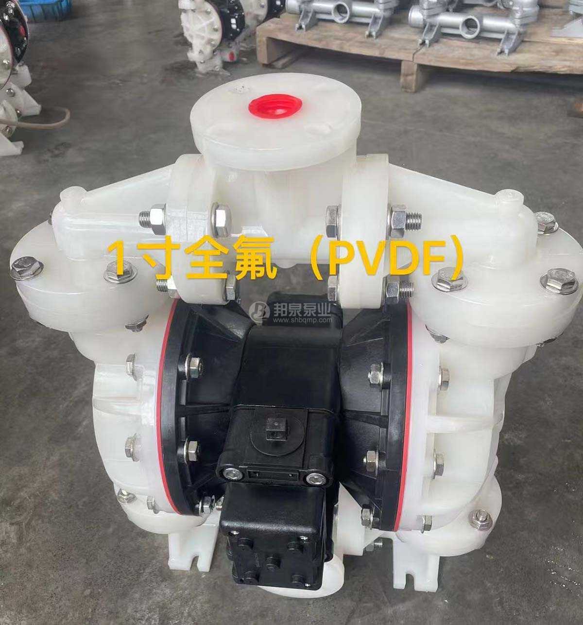 S1F 一寸PVDF塑料氣動隔膜泵